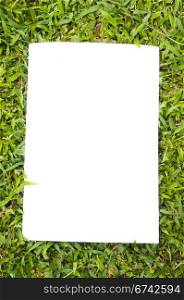 blank white flyer on grass, to replace with own images or messages.