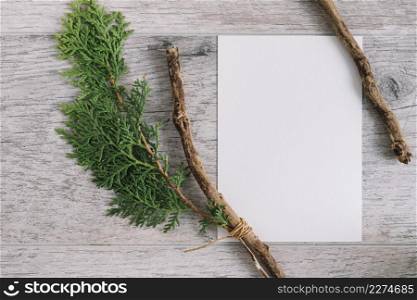 blank white paper with cedar twig branch wooden textured background