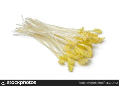 Bleached sea kale sprouts on white background