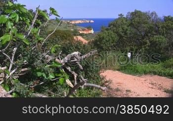 Blick auf das Meer von einem Aussichtspunkt mit grnnen Bnschen / BSumen; AuslSufer aus Steinen ragen ins Meer, Knste der Algarve in Portugal; blauer Himmel.