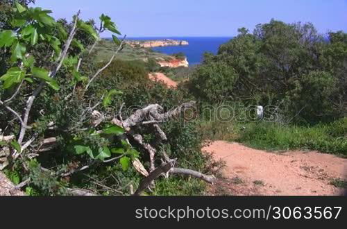 Blick auf das Meer von einem Aussichtspunkt mit grunen Buschen / Baumen; Auslaufer aus Steinen ragen ins Meer, Kuste der Algarve in Portugal; blauer Himmel.