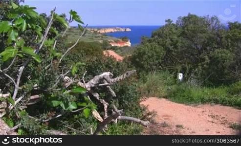 Blick auf das Meer von einem Aussichtspunkt mit grunen Buschen / Baumen; Auslaufer aus Steinen ragen ins Meer, Kuste der Algarve in Portugal; blauer Himmel.