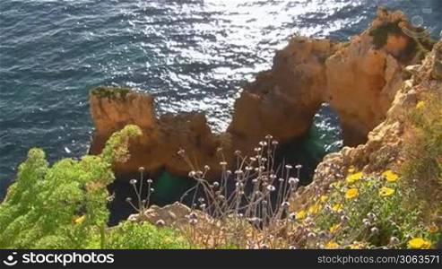 Blick auf Felsengebilde / Steine im blauen Meer von einem mit bunten Blumen bewachsenen Felsen; die Sonne glitzert / spiegelt sich im Wasser. Kuste der Algarve, Portugal.