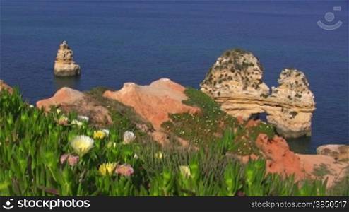 Blick auf Felsengebilde / Steininseln im blauen Meer von einer bunten Blumenwiese; Knste der Algarve, Portugal.