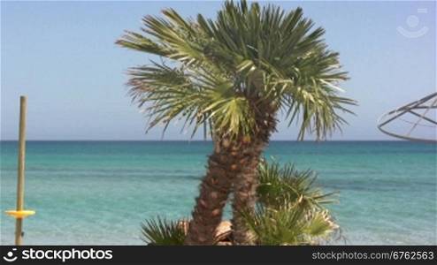Blick nber den Strand mit einer Palme auf ein blaues Meer hinaus