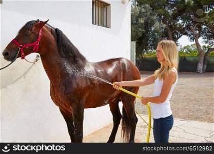 Blond girl cleaning brown horse with hose water. Blond girl cleaning brown horse with hose water on white wall