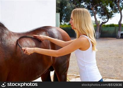 Blond girl cleaning horse with sweat scraper. Blond girl cleaning brown horse with sweat scraper tool on white wall