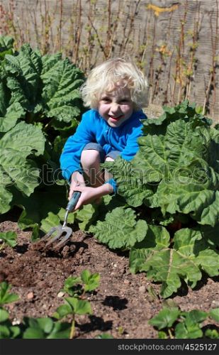 Blonde haired boy digging in the garden on sunny day