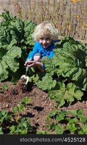 Blonde haired boy digging in the garden on sunny day