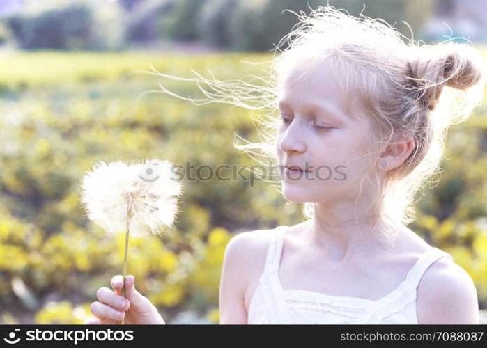 blonde Little girl holding dandelion and blowing it on the Sunset. summer holidays and mood