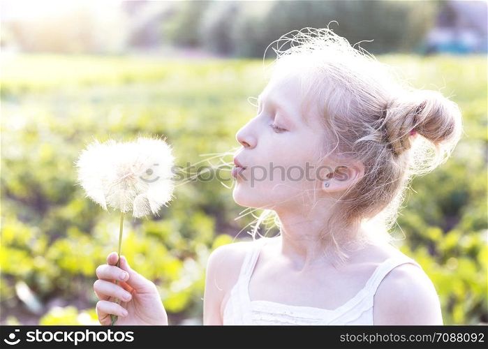 blonde Little girl holding dandelion and blowing it on the Sunset. summer holidays and mood