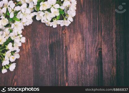 Blooming cherry branch with white flowers on a brown wooden background, empty space