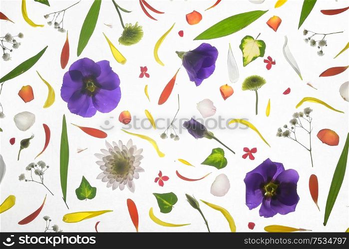 Blooming Colorful Flowers Background
