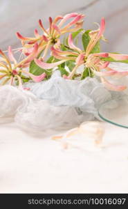 Blooming jasmine flower branch with jasmine leaves on white background