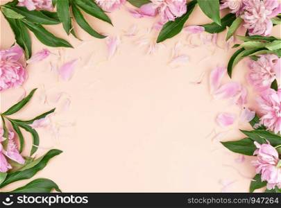 blooming pink peony buds on a peach background, empty space in the middle, top view, wedding backdrop