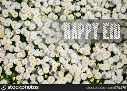 Blooming spring flowers as a colorful background