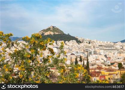 Blooming tree (in focus) against Athens cityscape and Lykavitos hill (out of focus) in Athens, Greece on a beautiful spring afternoon