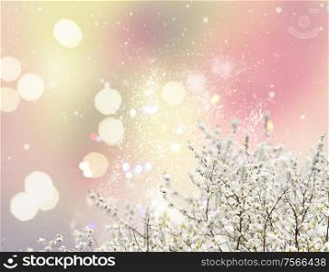 Blooming tree with white buds and flowers on fancy garden background. Blooming magnolia tree