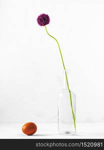 Blooming wild onions in a glass water bottle isolated on a white background, studio shot, still life. Near a chicken egg, close-up, the idea of a diet or a healthy diet