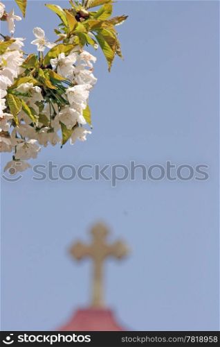 blossom and ortodox cross