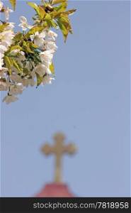 blossom and ortodox cross