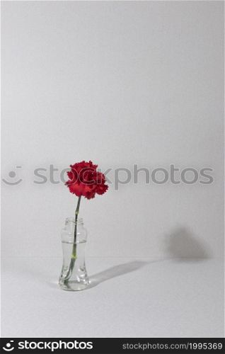 blossom flower vase table (7)