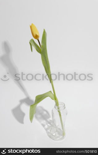 blossom flower vase table9