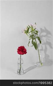 blossom flowers vase table (8)