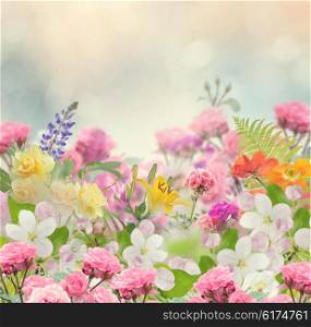 Blossom of Colorful Flowers for Background