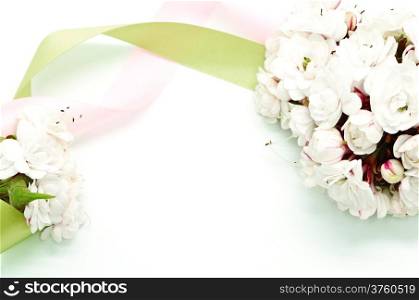 Blossom of white flower, Glory Bower (Clerodendrum chinense), isolated on white
