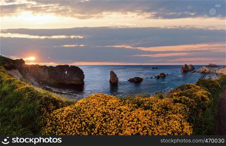 Blossoming Arnia Beach, Spain. Atlantic Ocean evening sunset coastline landscape.
