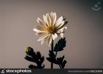 Blossoming beautiful single white chamomile flower. Illustration Generative AI 
