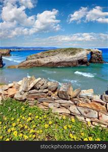 Blossoming Cantabric coast summer landscape, Cathedrals Beach, Lugo, Galicia, Spain