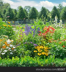 Blossoming flowerbed in the summer park