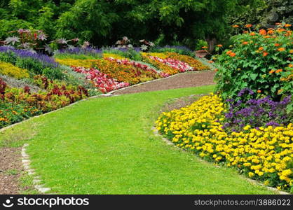 Blossoming flowerbeds in the park