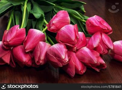 blossoming tidy tulips on old wood background