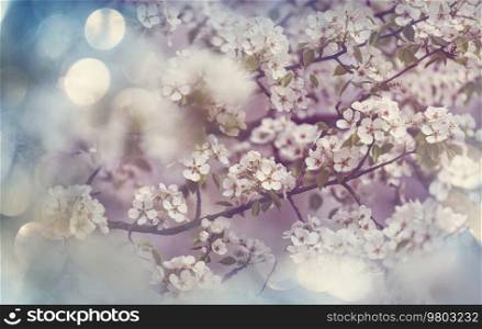 Blossoming tree in the Spring garden. Spring conceptual background.