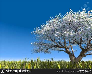 Blossoming tree on a meadow. Cherry a tree with colors