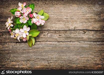Blossoms of apple tree flowers on rustic wooden background. Vintage style toned picture