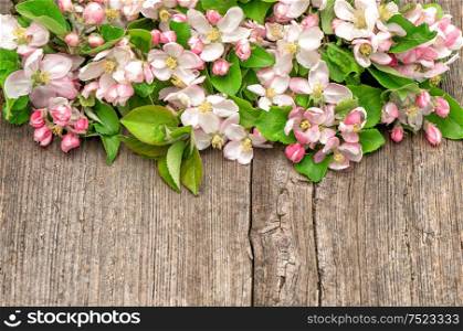 Blossoms of apple tree flowers on wooden background. Floral border