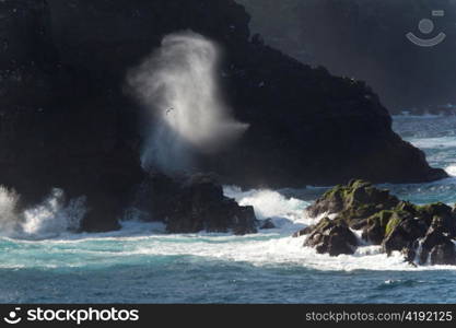 Blow hole on the coast, Punta Suarez, Espanola Island, Galapagos Islands, Ecuador