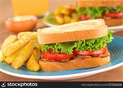 BLT (bacon, tomato, lettuce) wholewheat sandwich with French fries (Selective Focus, Focus on the front of the sandwich)