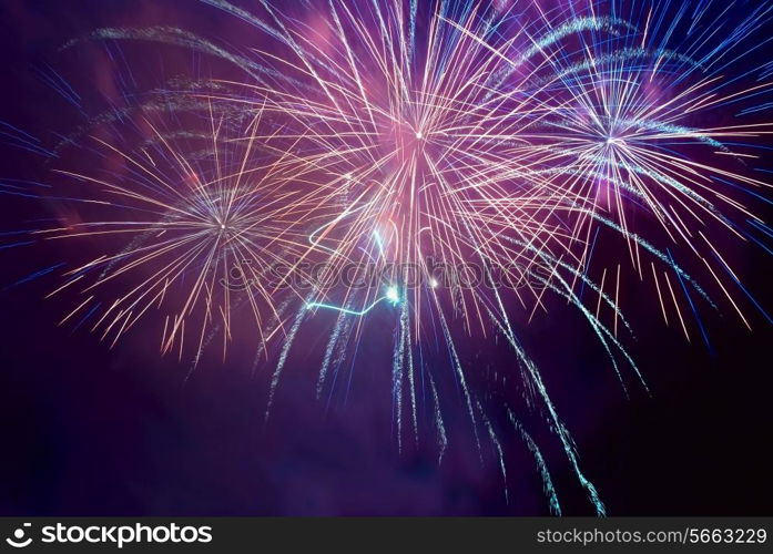 Blue and purple colorful fireworks on the black sky background. Holiday celebration.