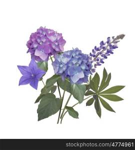 Blue and purple flowers arrangement isolated on white background. Blue and purple flowers