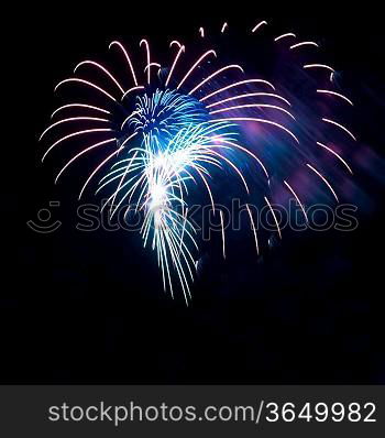 Blue and red colorful holiday fireworks on the black sky background.