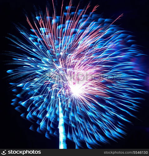 Blue and red colorful holiday fireworks on the black sky background.