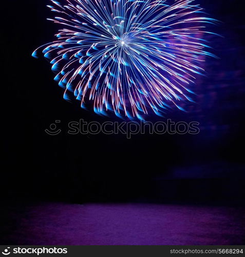 Blue and red colorful holiday fireworks on the black sky background.