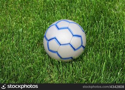 Blue and white soccer ball on the green lawn