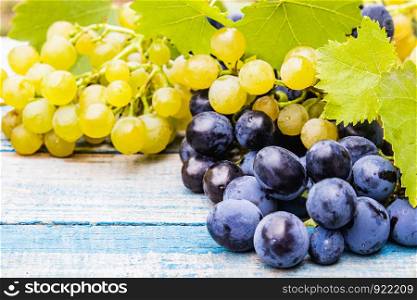 Blue and yellow grapes with drops of water and green leaves on a blue old board. A bunch of grapes on a wooden table. Close-up. Blue and yellow grapes with drops of water and green leaves on a blue old board. A bunch of grapes on a wooden table.