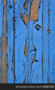 Blue background. Blue wood texture. Old wood texture.
